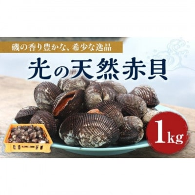 光の天然赤貝　1kg