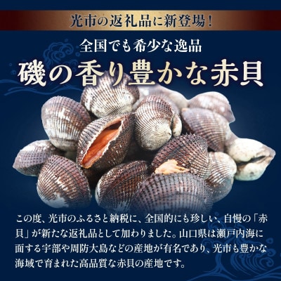 光の天然赤貝　1kg