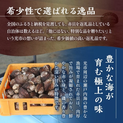 光の天然赤貝　1kg