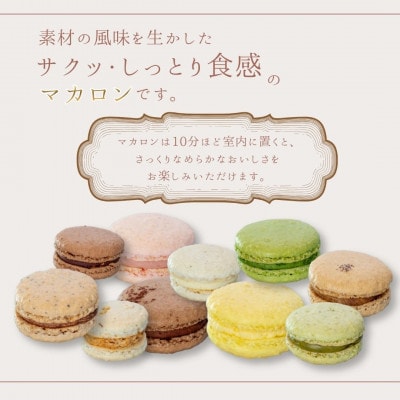 シェ・ヒロダン 10種のマカロン