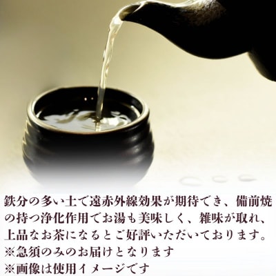 備前焼　急須(食洗機可) [No.5735-2175]