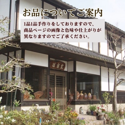 備前焼　急須(食洗機可) [No.5735-2175]