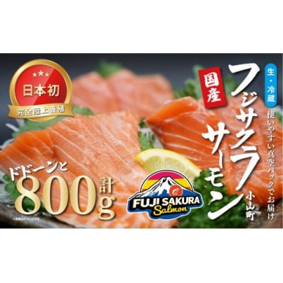 【日本初:完全陸上養殖】「 フジサクラサーモン 」【 生 ・冷蔵】800g1B6
