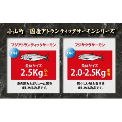 【日本初:完全陸上養殖】「 フジサクラサーモン 」【 生 ・冷蔵】800g1B6
