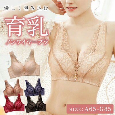 ノンワイヤー育乳ブラ (ブラック 32/70厚型パット)[173N45-01]