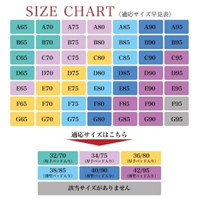 ノンワイヤー育乳ブラ (ベージュ 36/80厚型パット)[173N45-27]