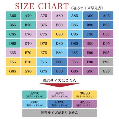 ノンワイヤー育乳ブラ (ネイビー 34/75厚型パット)[173N45-14]