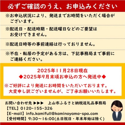 かみのやまシュー　8個　0048-2504