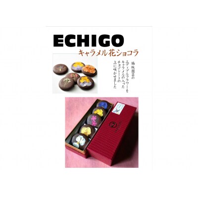 しょこら亭 ECHIGOキャラメル花ショコラ&鯛チョコセット