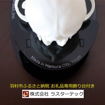 チワワの頭蓋骨模型