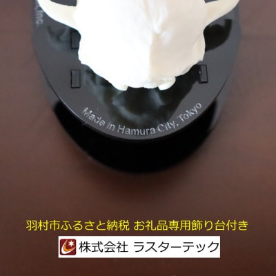ネコの頭蓋骨模型