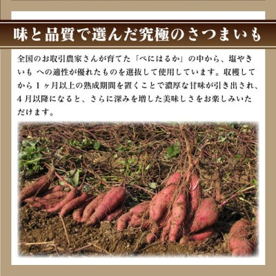 冷凍焼き芋　塩やきいも　紅はるか使用　【全国やきいもグランプリ2022受賞】(750g×1袋)
