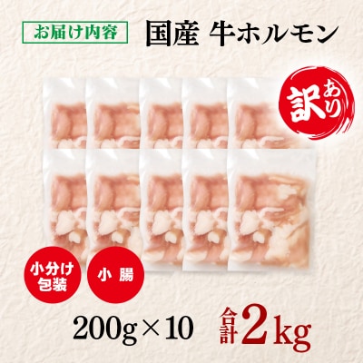 訳あり国産牛ホルモン2kg(小腸)牛もつ小分け200g×10　もつ鍋焼肉に[3047]