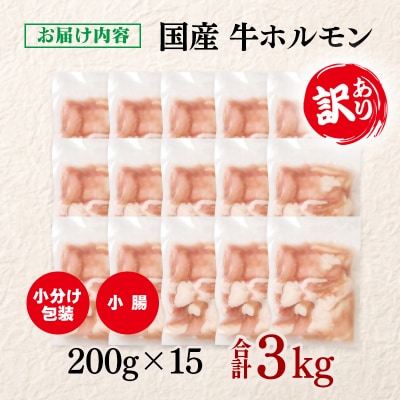 訳あり国産牛ホルモン3kg(小腸)牛もつ小分け200g×15　もつ鍋焼肉に[3048]
