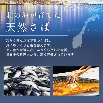 訳あり 昆布塩さば 4kg 
