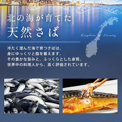 訳あり 昆布塩さば 4kg 