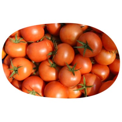 むつ市産　寅福菜園の「サステナブルトマト」4kg