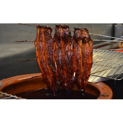 年内発送 三河一色産 鰻の蒲焼き 1尾 180g以上 うなぎ処はちすか　H026-028