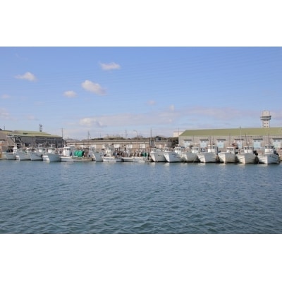 年内発送  しらす屋のしらす干し　1kg(ご家庭用)　H006-073