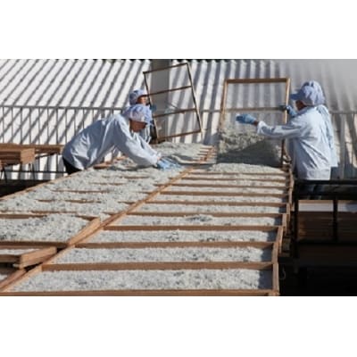 年内発送  しらす屋のしらす干し500g　H006-075