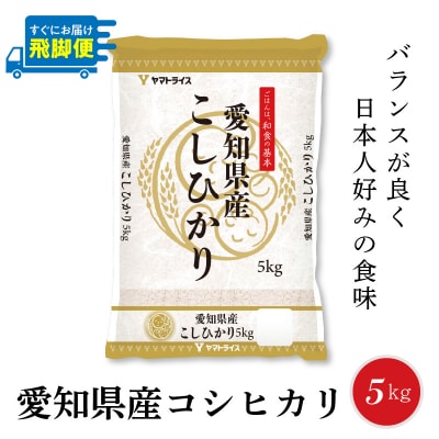 年内発送 愛知県産コシヒカリ 5Kg　安心安全なヤマトライス 米 白米 国産 精米 H074-687