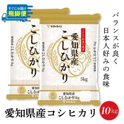 年内発送 愛知県産コシヒカリ 10kg(5kg×2袋) 米 白米 国産 H074-688