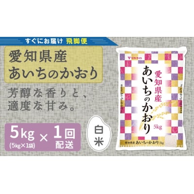 年内発送 【すぐにお届け】 愛知県産あいちのかおり 5kg 米   白米  国産 H074-691