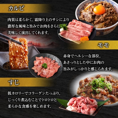 期間限定寄附額 神戸牛 福袋 帝神 おまかせコース F [No5698-1147]