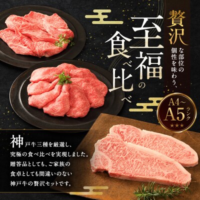 期間限定寄附額 神戸牛 贅沢セットB 計700g ローススライス [No5698-1278]