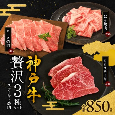 期間限定寄附額 神戸牛 贅沢セットC 計850g 焼肉用ロース バラ [No5698-1279]