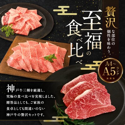 期間限定寄附額 神戸牛 贅沢セットC 計850g 焼肉用ロース バラ [No5698-1279]