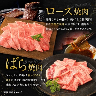 期間限定寄附額 神戸牛 贅沢セットC 計850g 焼肉用ロース バラ [No5698-1279]