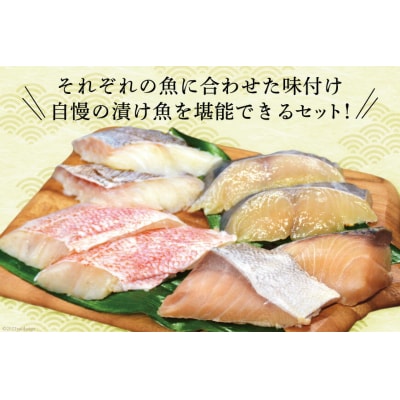 2025 年内発送 本仕込み海の恵5種セット 12切入 20565851