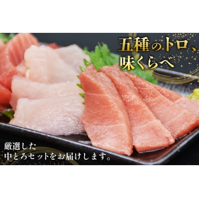 2025 年内発送 北かつのマグロ 中トロセット商事 20565856