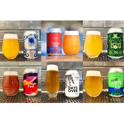 2025 年内発送 【できたて直送!】クラフトビール 6缶 セット 20565874