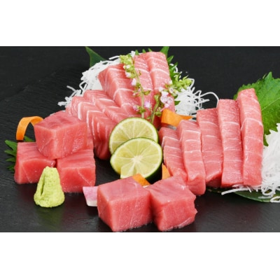 2025 年内発送 まぐろ 本マグロ背トロ 約400g(200g×2柵) 20565850