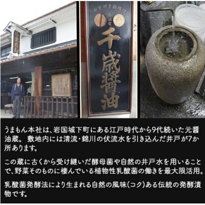 うまもん 本造り 漬物 詰合せ 5種セット