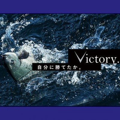 トルネードVハード 釣り糸 4号 1個 釣糸ハリス