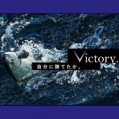 トルネードVハード 釣り糸 1.5号 3個 釣糸ハリス