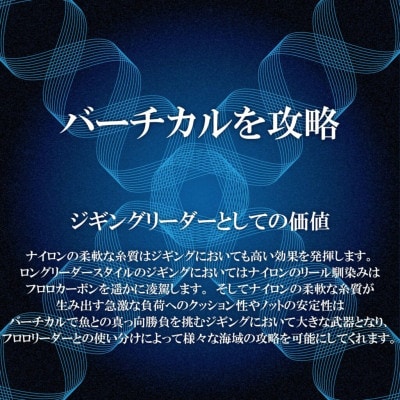システムショックリーダーナイロン 釣り糸 12LB(3号)