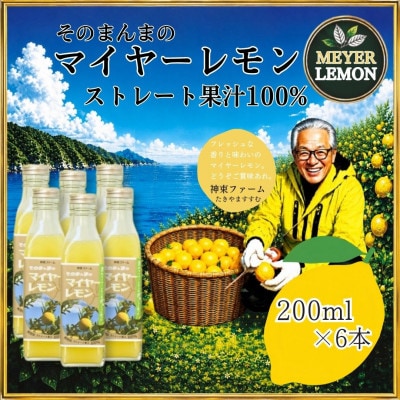 そのまんまのマイヤーレモン果汁100%　200ml×6本