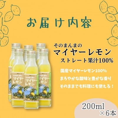 そのまんまのマイヤーレモン果汁100%　200ml×6本