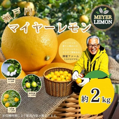 瀬戸内マイヤーレモン　約2kg
