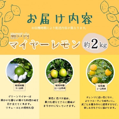 瀬戸内マイヤーレモン　約2kg