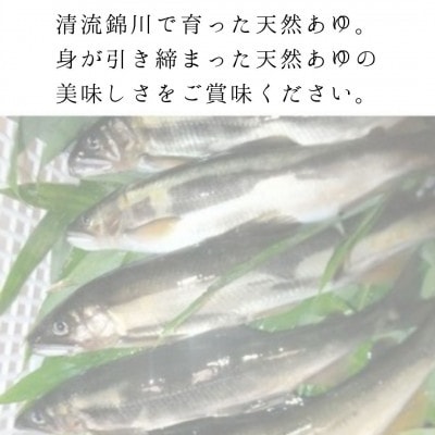 錦川産 天然落ち鮎 冷凍 1kg(10匹程度)