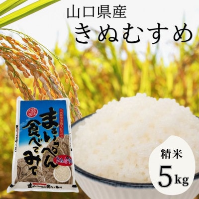 【11月～4月順次発送】いわくにアグリ認定米 きぬむすめ 5kg 精米