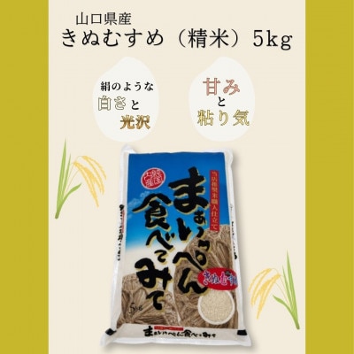 【11月～4月順次発送】いわくにアグリ認定米 きぬむすめ 5kg 精米