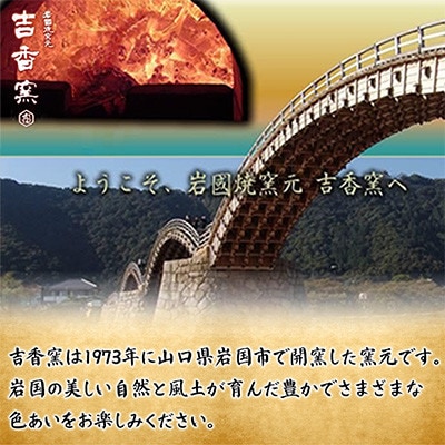 carp若鯉応援Tシャツ(XLサイズ)　岩国焼「吉香窯」から若鯉へ