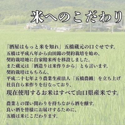 五橋　紙カップ 180ml×30本セット【酒井酒造】