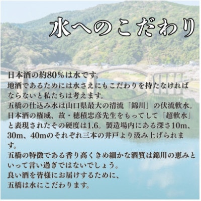 五橋　紙カップ 180ml×30本セット【酒井酒造】